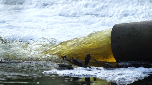 Water flows from a sewer pipe