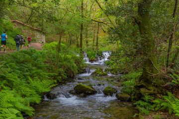 The Camino de Santiago