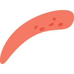 Abstract Coral Shape with Speckles Isolated on Transparent Background Minimalist Organic Form Vector Art