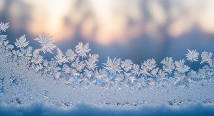 Obraz premium Frosty Artistry on Display: Delicate ice crystals adorn a window pane, their intricate patterns sparkling in the soft winter light, revealing the quiet beauty of a frosty morning.