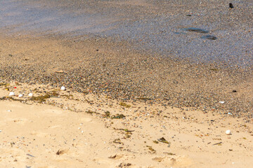 The edge of a calm beach with pebbles in the sand.