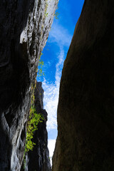 Landscapes in the La Yecla Gorge in Santo Domingo de Silos. La Demanda and Pinares region. Burgos. Castile and León. Spain. Europe.