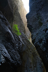 Landscapes in the La Yecla Gorge in Santo Domingo de Silos. La Demanda and Pinares region. Burgos. Castile and León. Spain. Europe.