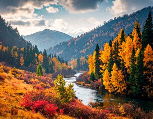 River Flowing Through the Taiga Forest
