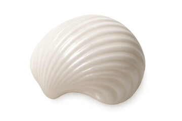 White seashell with spiral patterns on transparent background
