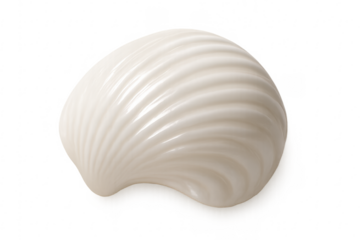 White seashell with spiral patterns on transparent background
