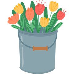 A Bucket Filled With Vibrant Tulips In Shades Of Orange Yellow And Red With Green Stems Against A Transparent Background