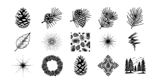 Intricate pine cone patterns and nature elements in hand-drawn style