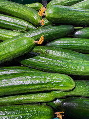 Freshly harvested cucumbers on wooden table. Green organic cucumber in market. Ripe cucumbers on the box. Food background.