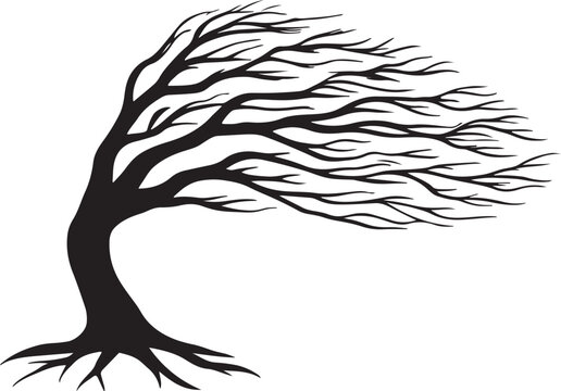 Silhouette of a windblown tree with exposed roots