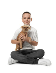 Obraz premium Child with cute Griffon puppy on white background. Domestic pet