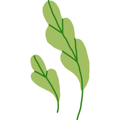 Two Light Green Leaves with Dark Green Veins on a Transparent Background Vector Art Minimalist Organic Nature Element