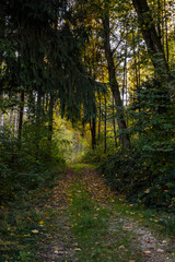 Obraz premium Fotowalk - Sankt Georgen im Attergau