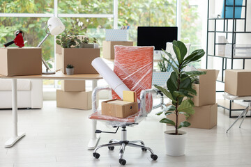 Many moving boxes, houseplants and furniture in new office