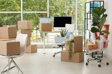 Many moving boxes, houseplants and furniture in new office