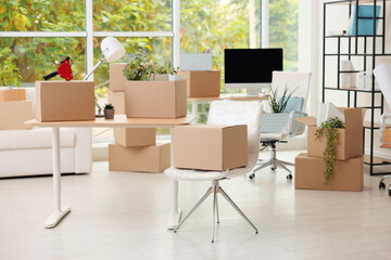 Many moving boxes, houseplants and furniture in new office