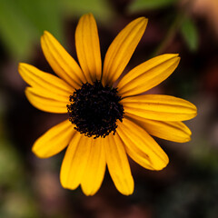 Fotowalk - Sankt Georgen im Attergau