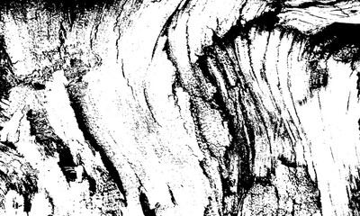 Abstract Wood Grain Texture: Striking Black and White Timber Pattern, Rough Surface Detail,...