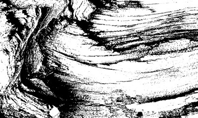 Textured Wood Bark Close-Up: Black and White Abstract Pattern, Detailed Tree Surface Grain, Natural...