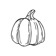 Large pumpkin thin black lines on a white background - Vector illustration