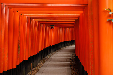 Iconic red torii gate tunnel at Japanese Shinto shrine