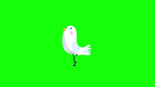 Bird white cartoon animation character greenbox start walking. Animated bird character moves serie.