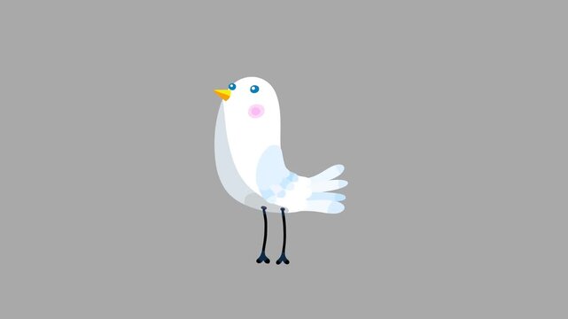 Bird white cartoon animation character flight and stop isolated. Cute animal moves behaviour will bring to life any scene.