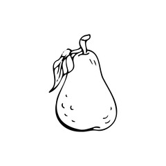 Pear thin black lines on a white background - Vector illustration