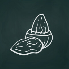 Nut peanut thin white lines on a textural dark background - Vector illustration