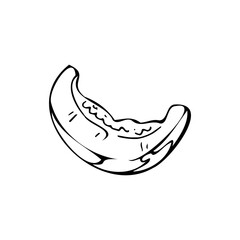 A piece of melon thin black lines on a white background - Vector illustration