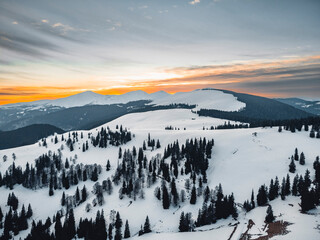 Beautiful Carpathian Mountains in winter, Romania. Majestic alpine scenery with tall pine trees covered in snow, clear blue sky, and mist rolling over the hills. Ideal image for concepts of nature, wi