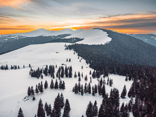 Peaceful winter scene in the Romanian Carpathians. Snow blankets the landscape, trees glisten in the morning frost