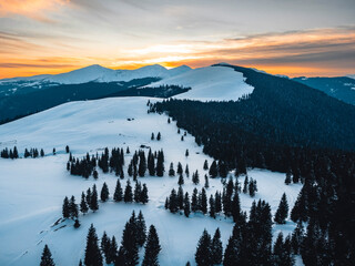 Peaceful winter scene in the Romanian Carpathians. Snow blankets the landscape, trees glisten in the morning frost, and the air feels pure and silent.