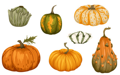 Various pumpkins set isolated on white background. Autumn harvest festival art. Vector hand drawn Halloween illustration for seasonal design, packaging, stickers, wrapping, print, web