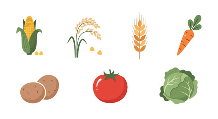 Flat Vector Set of Vegetables and Crops Including Corn, Rice, Wheat, Carrot, Tomato, Potato, and Cabbage for Organic Agriculture Design