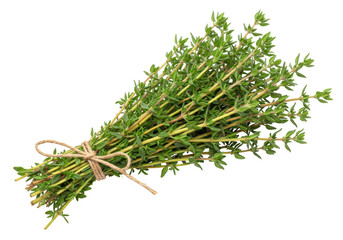 Isolated aromatic thyme herb, bunch of fresh organic sprigs tied with twine string