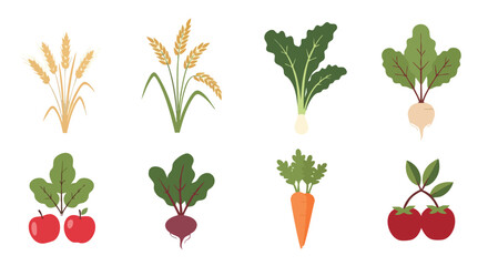 Flat Minimalist Vector Set of Farm Crops Including Wheat, Pak Choi, Radish, Beet, Carrot, Apple, and Tomato for Organic Agriculture and Eco Food Design