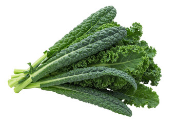 Isolated bundle of Lacinato Kale with curly green leaves, healthy fresh raw vegetable