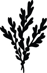 Silhouette vector seaweed marine plant underwater isolated design Illustrator