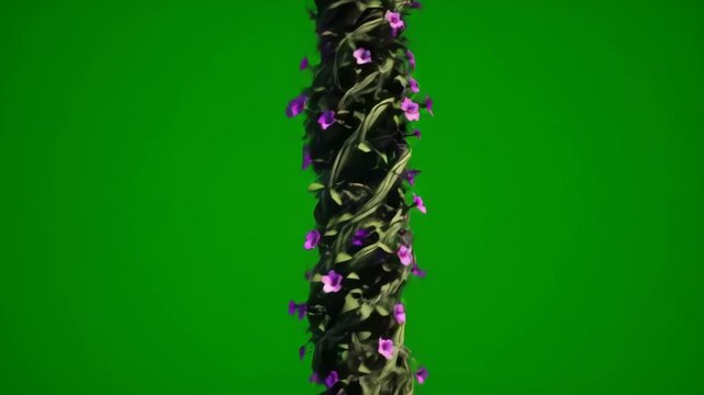 Video Flower vine climbs seamless on green screen background animation