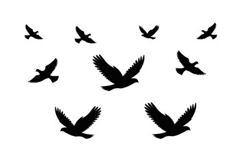 Obraz premium Flying bird silhouette set on white background