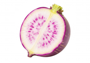 Purple radish cross section white pink isolated on a transparent background