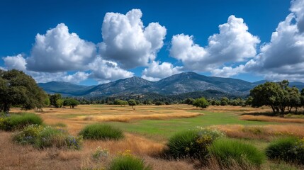 Majestic Landscape Dramatic Clouds Over Mountains and Golden Fields.