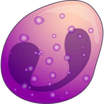 Cartoon Macrophage Immune System Cell With Purple Nucleus And Bubbles On Transparent Background Scientific Illustration