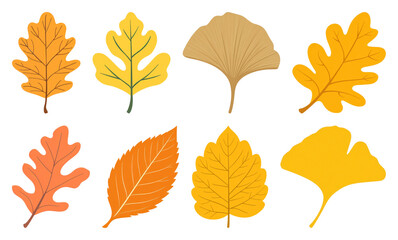 Obraz premium PNG Colorful autumn leaves illustration, element set on transparent background