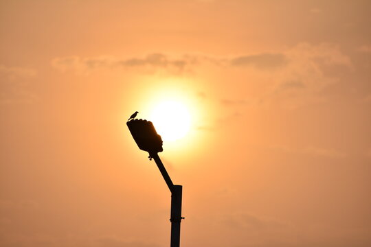 silhouette of the sun - Powered by Adobe