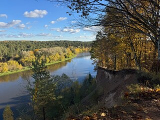 autumn in the forest