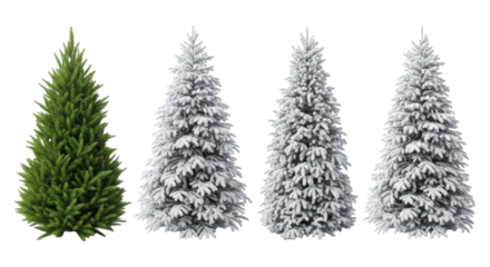 Six individual evergreen fir and spruce trees, some lush green, others snow-coated, isolated on a transparent background with soft studio lighting. Winter design concept