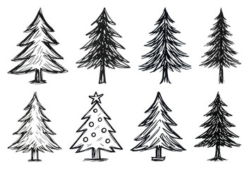 Obraz premium PNG Hand-drawn evergreen tree illustrations, element set on transparent background