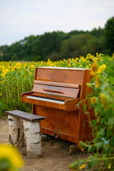 An upright piano with a wooden finish stands amidst a vibrant sunflower field. The sunflowers are tall and densely packed